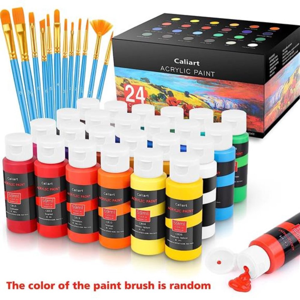 Acrylic Paint Set With 12 Brushes, 24 Colors (59ml, 2oz) Art Craft Paints Gifts